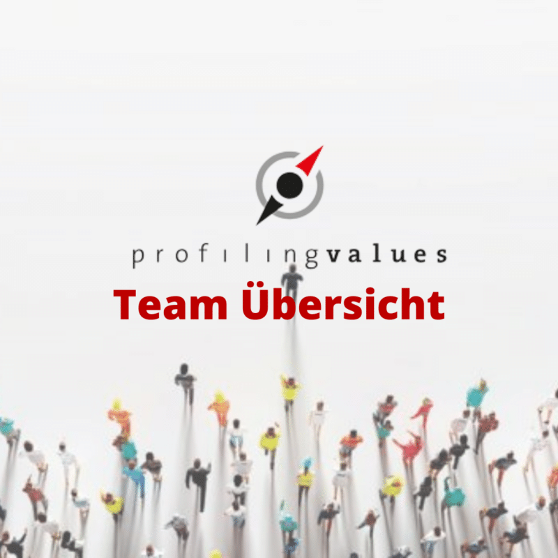 Team Übersicht